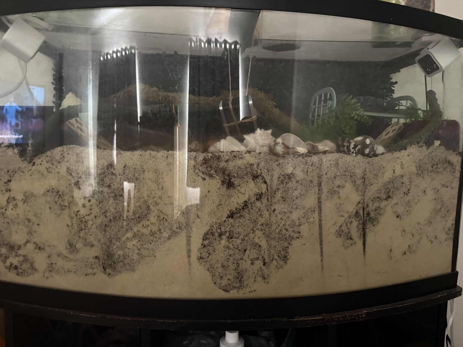 46 Gallon Bow Front Tank And Stand