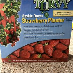 Strawberry Planters