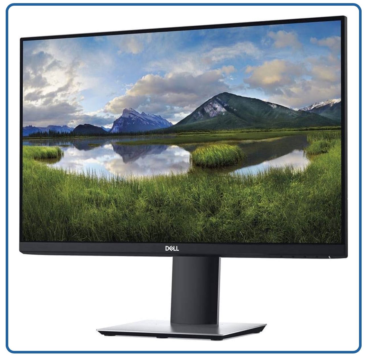 Dell 24 Monitor