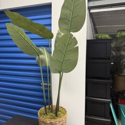 Artificial House Plant