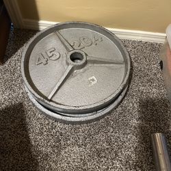 Curl Bar And Weights 