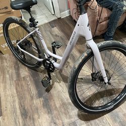 Specialized 2.0 Low Entry