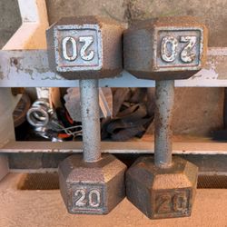 20 Lbs Dumbbell Weights 