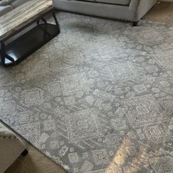 Gray Large area rugs