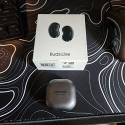 Galaxy Buds Live