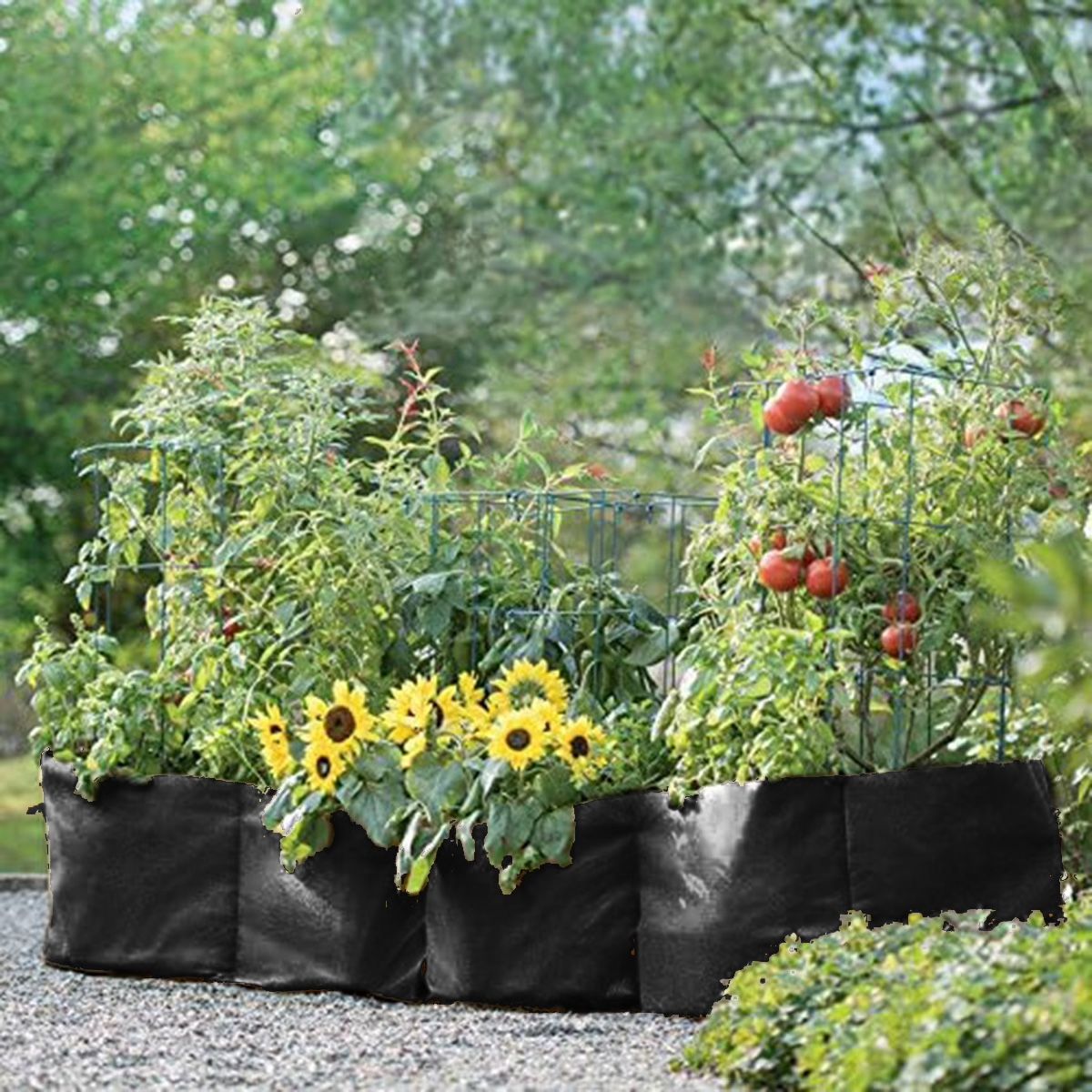 12 Pack- 100 Gallon Grow Bags Round Aeration Pots Container for Nursery Garden and Planting Grow (100 Gallon, Black)