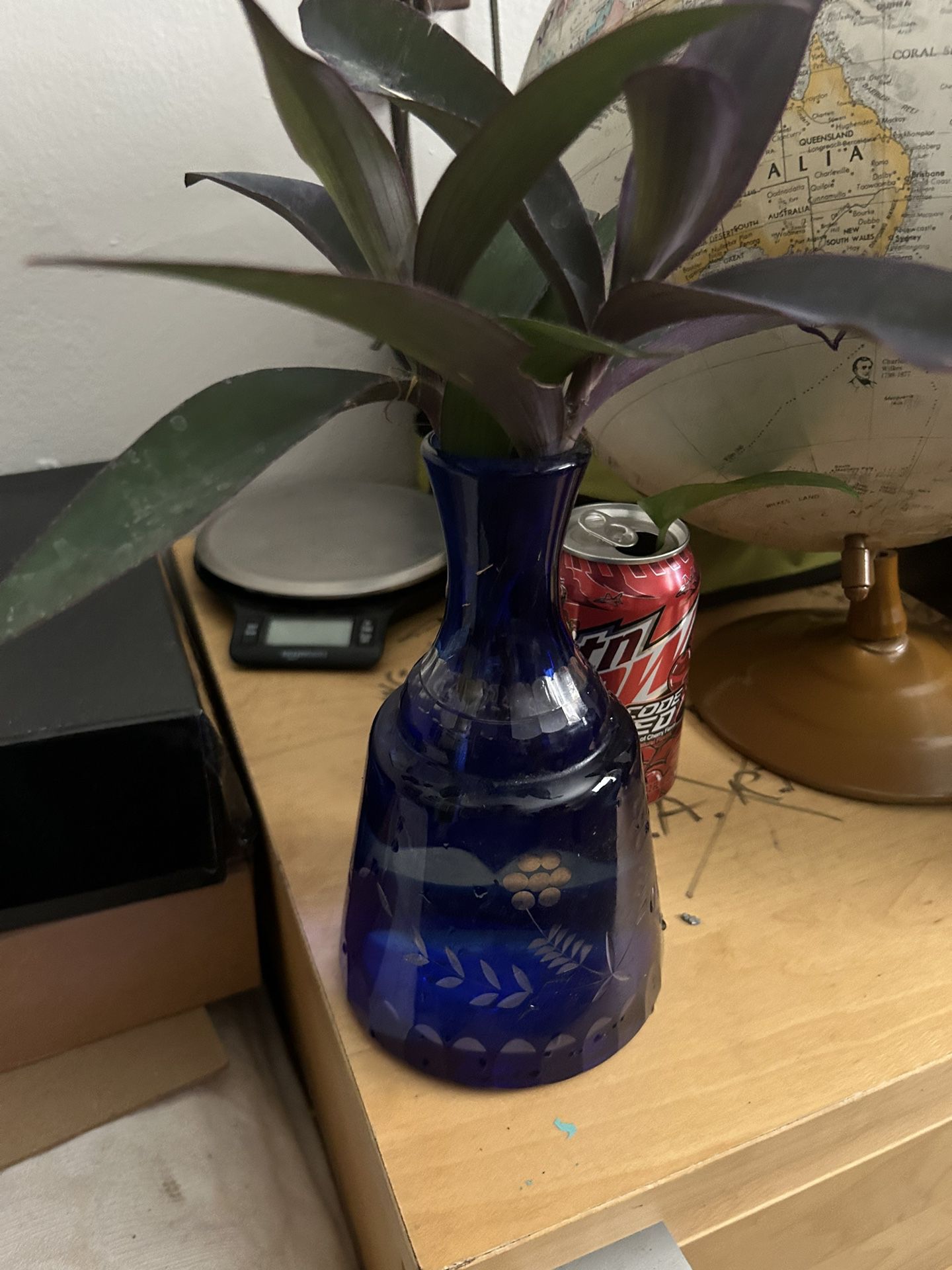 Ceramic Glass Vase 🏺 Live Purple Heart 💜 Wandering Jew Plant 🌱   Just add water 💦 to keep it alive. Clean water bi weekly or every two weeks to ma