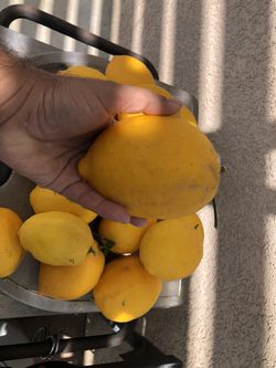 Sweet Lemons
