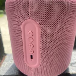 Bluetooth Light Up Speaker 