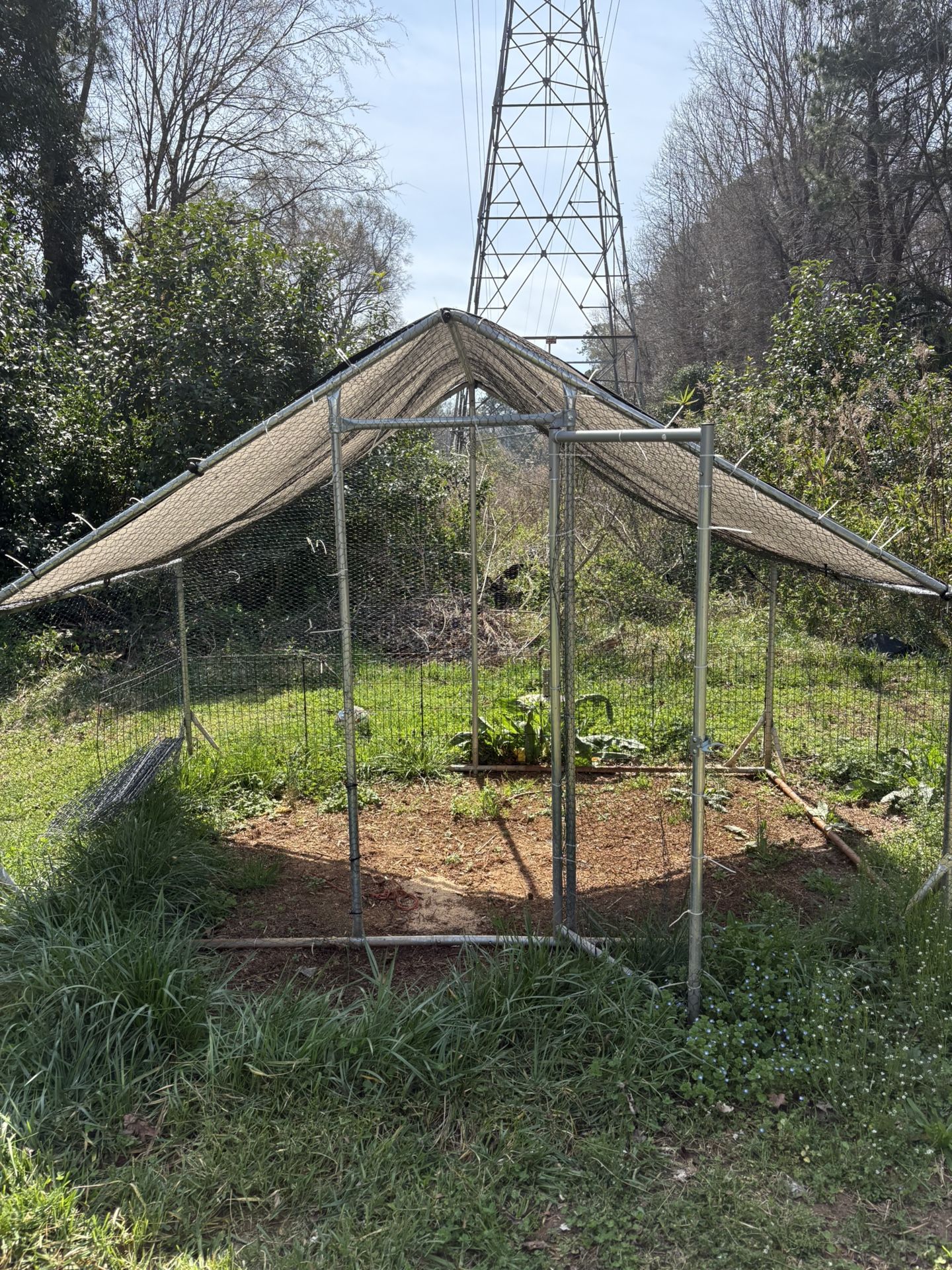 chicken coop 