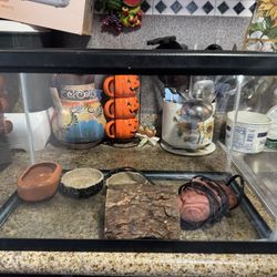 Tank & Reptile Intestinal