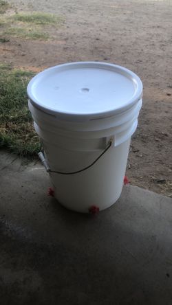 Chicken Bucket Waterer Easy Clean And Fill