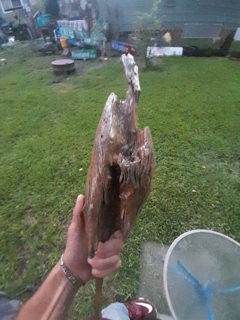 Driftwood