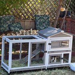 2 Rabbit and wood house