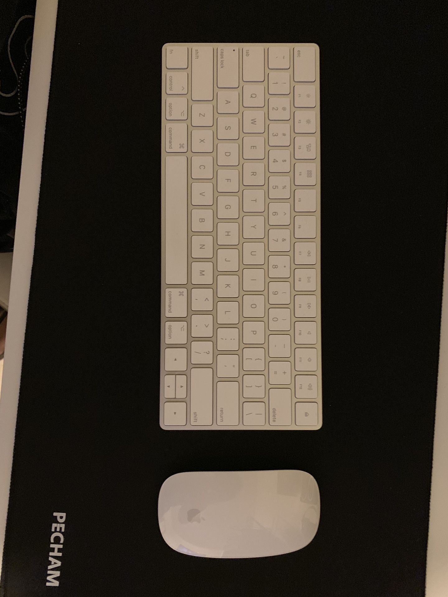 Apple Magic Mouse 2 and Magic Keyboard 2