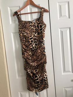 Cache Tiger Print Cocktail dress Size 4
