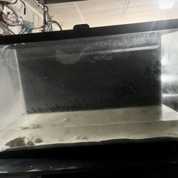 30 Gallon Fish Tank And Stand