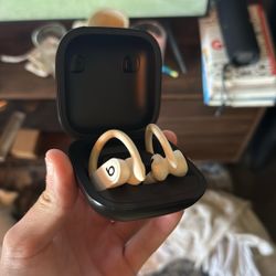 Beats Powerbeats Wireless