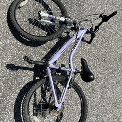 Diamondback Girls Bike 24”