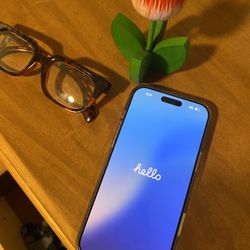 iPhone 16  Pro max 256gb