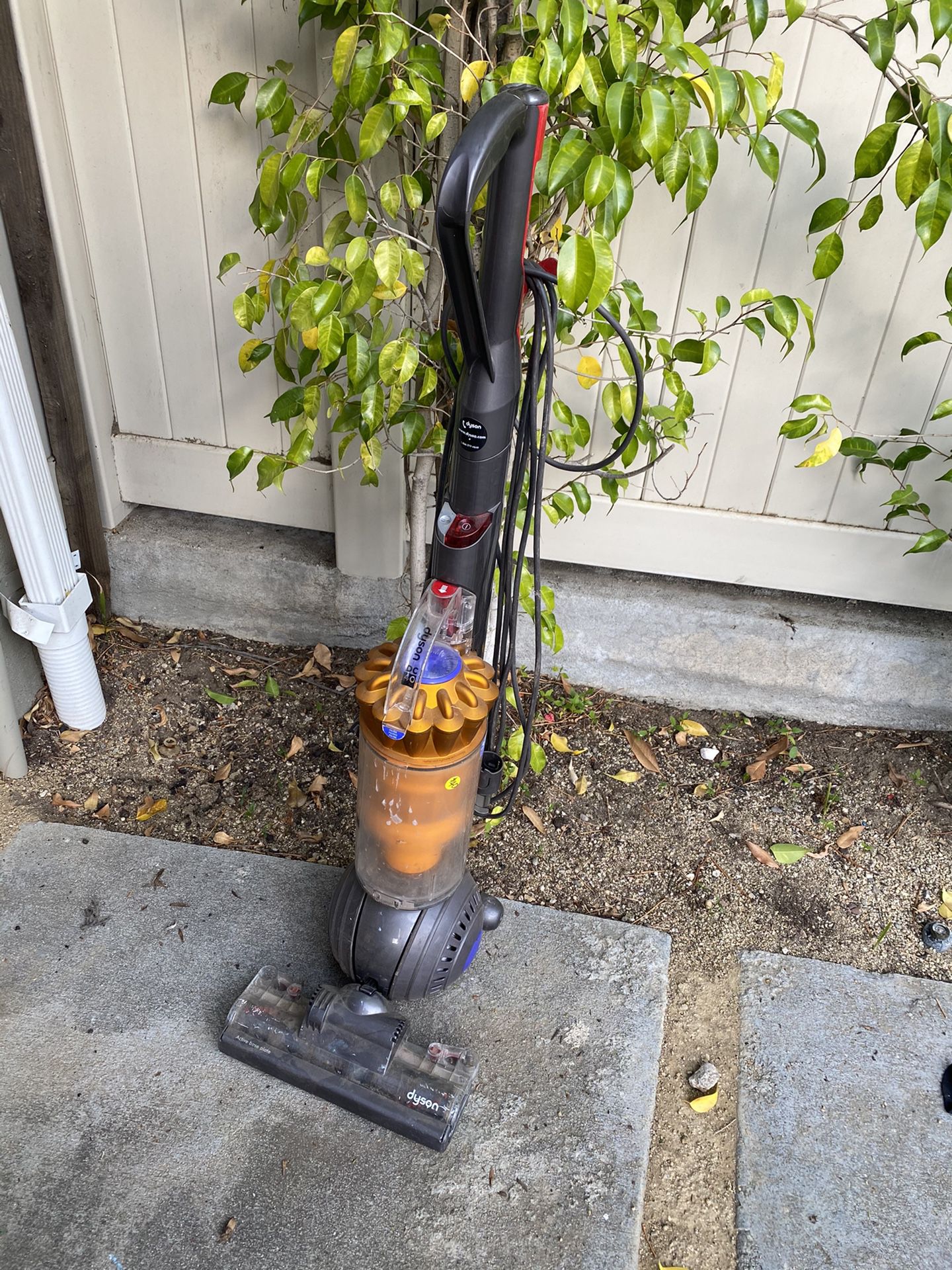 Dyson DC-40 upright vacuum cleaner. Works.
