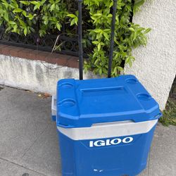 Igloo Cooler 