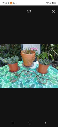 Metal plant stand holds 3 house plants