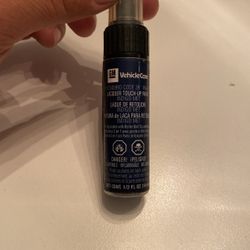 GM Touch Up Paint 