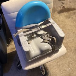 Adjustable Booster Seat