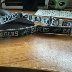 Eagles Collar NFL Large New