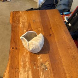 Conch Shell Decoration 