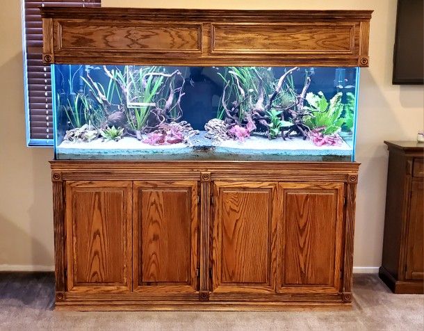 180 Gallon Tank With Solid Oak Stand And Cover/hood