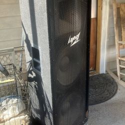 Peavey Speaker 