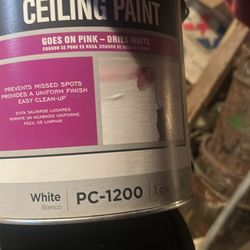 Ceiling Paint White 