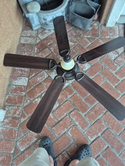 Ceiling fan