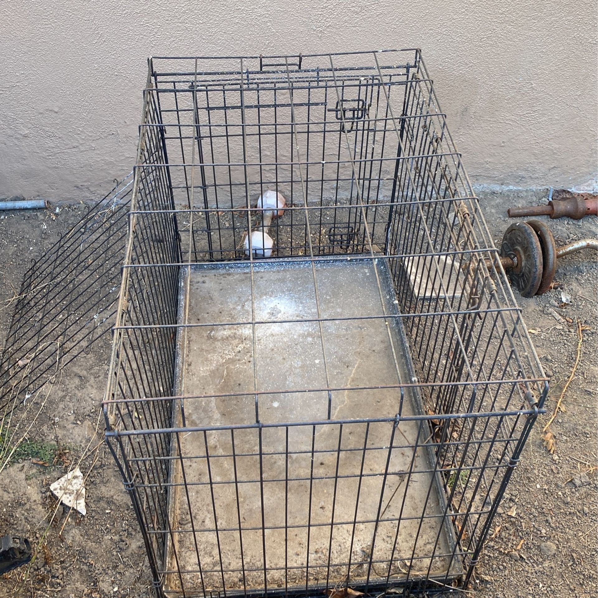 Dog Crate