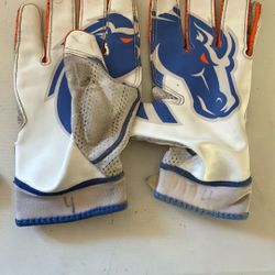 College Gloves