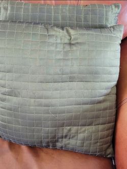 2 Throw Pillows