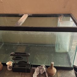 Fish Aquarium 