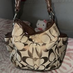 Vintage Coach Bag