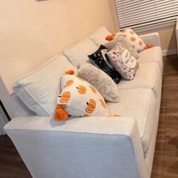 Light Gray Modern Sofa & Loveseat Set, Excellent Condition