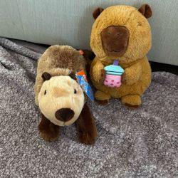 Capybara Stuffies 