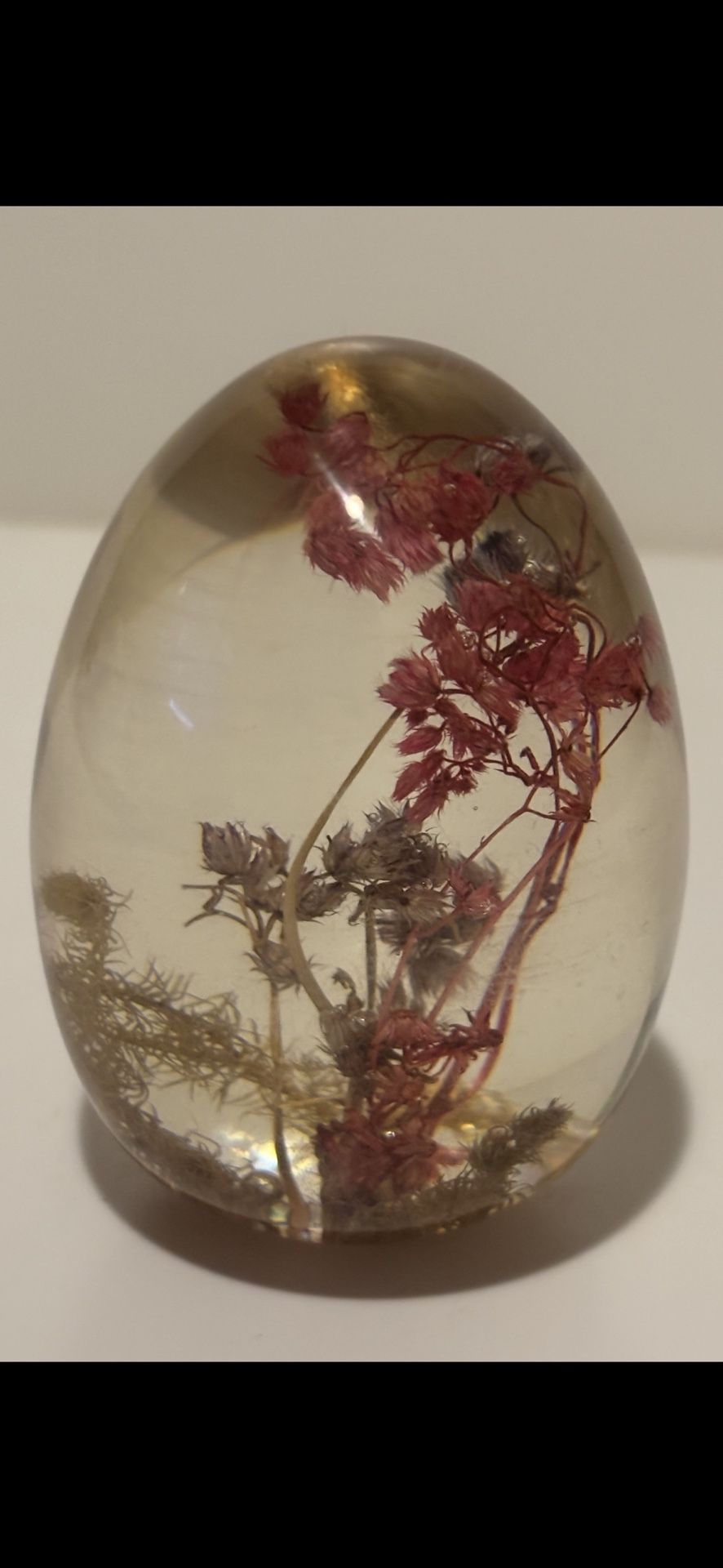 Shackman Dried Flowers Paperweight Acrylic