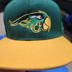 PERRICOS DE PUEBLA BASEBALL HAT