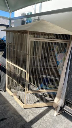 Bird Cages