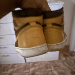 Air Jordan 1 Polen 