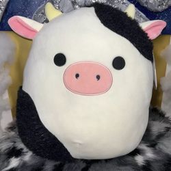  Connor the Cow Squishmallow Fuzzy Walgreens Exclusive 16”
