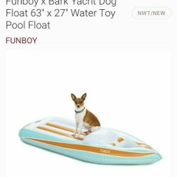 Dogs Need Fun In The Water Too