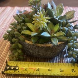 Succulent Home Decor Faux