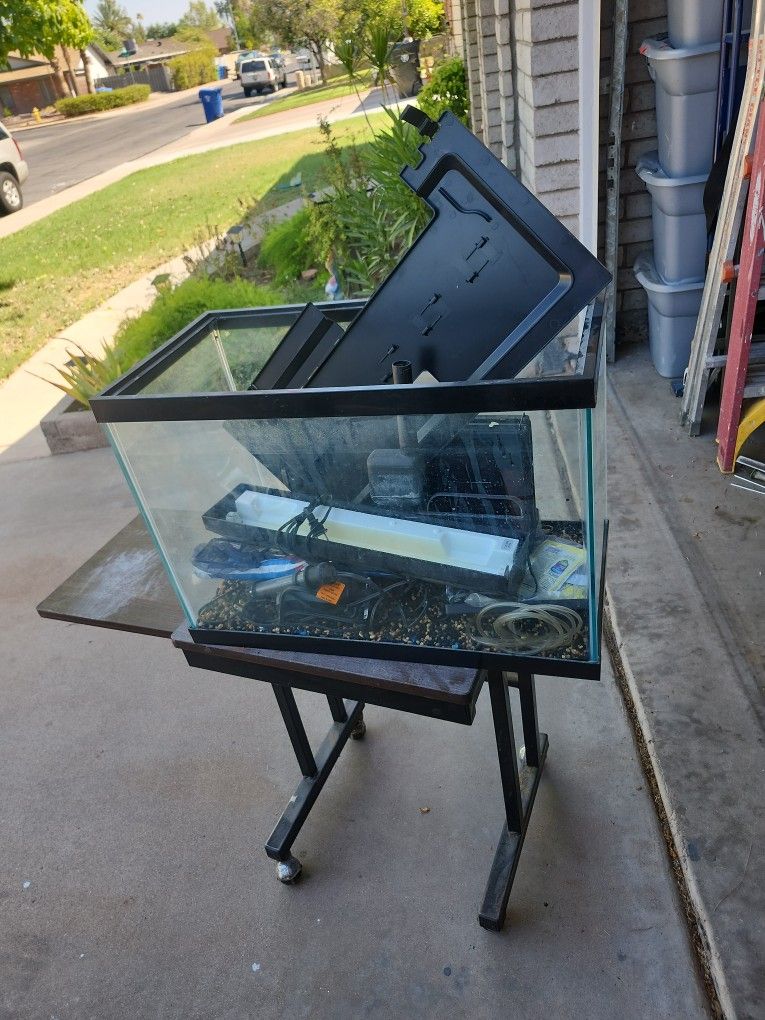25 Gallon Fish Tank